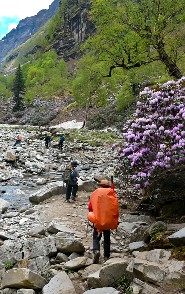 Rupin Pass Trek